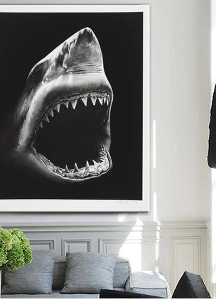 サメ - 60x90 cm