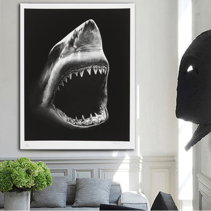 Shark - 60x90 cm