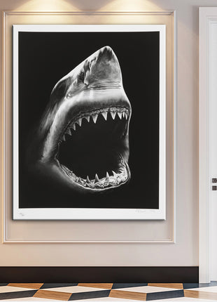 サメ - 60x90 cm