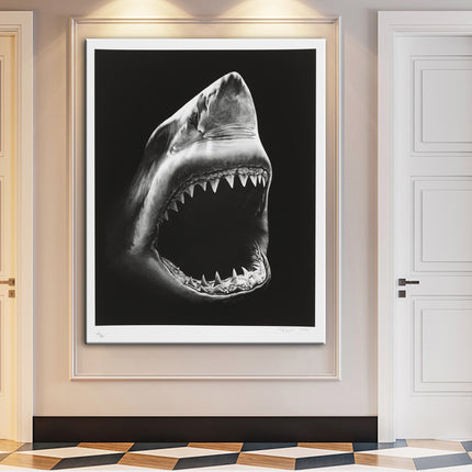 Shark - 60x90 cm