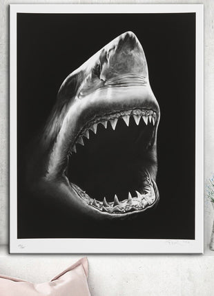 サメ - 60x90 cm