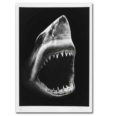 Tiburón - 60x90 cm