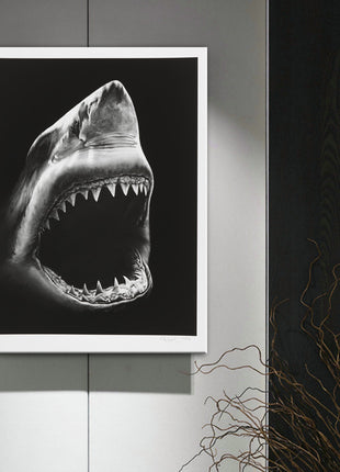 サメ - 60x90 cm