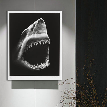 Shark - 60x90 cm