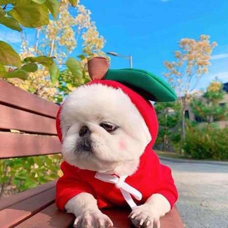Cute Clothes for Cats or Dogs Hoodies Winter Warm Costume
