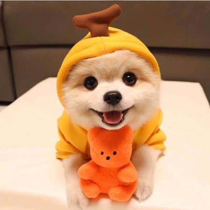 Cute Clothes for Cats or Dogs Hoodies Winter Warm Costume