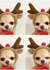 6 Style