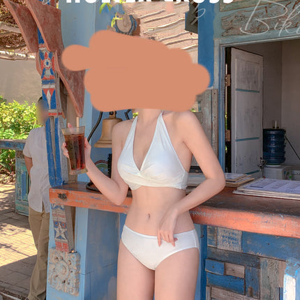 Slim Slimming Small Breasts Gather Beach Bikini Swimwear