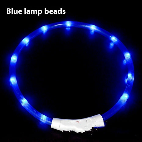 Glowing LED Collar USB Charging