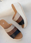 Apricot Black Brown