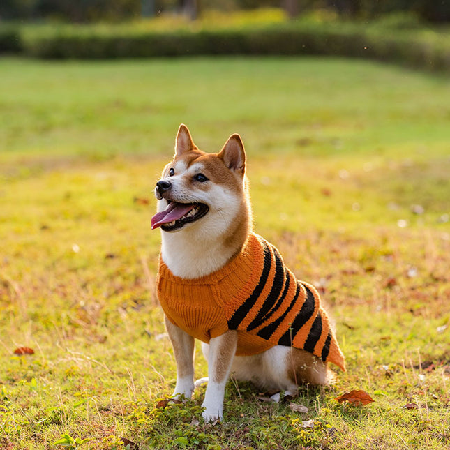 Halloween Dog Warm Leisure Sweater Cosplay Clothes