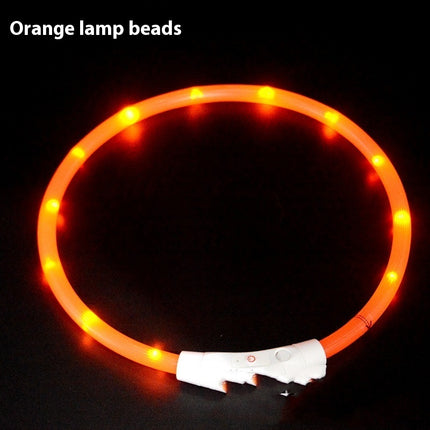 Glowing LED Collar USB Charging