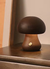 لون عين الجمل / C / 2.4 واط