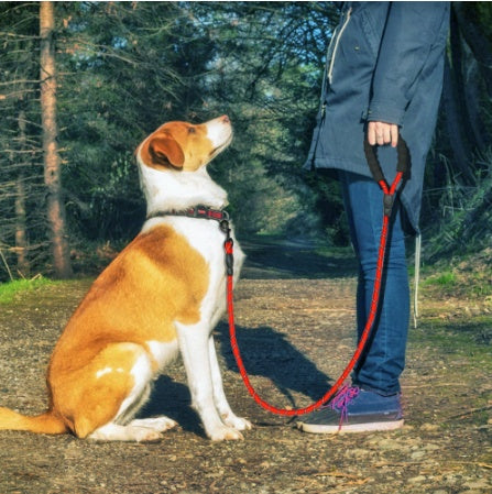 Reflective Leash Nylon Rope for Small, Medium & Large Dogs
