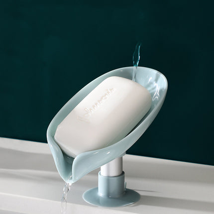Vertical Soap Dish with Drain