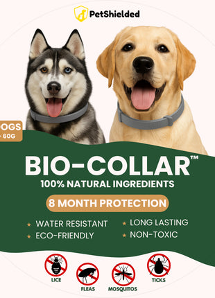 8 Months Pet Insect Repellent Adjustable Collar