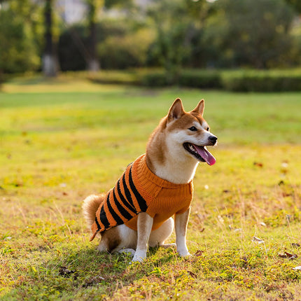 Halloween Dog Warm Leisure Sweater Cosplay Clothes