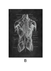 B / 60X90cm