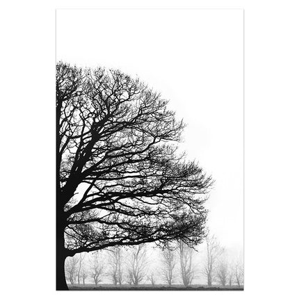 Black And White Trees - 70x100 cm