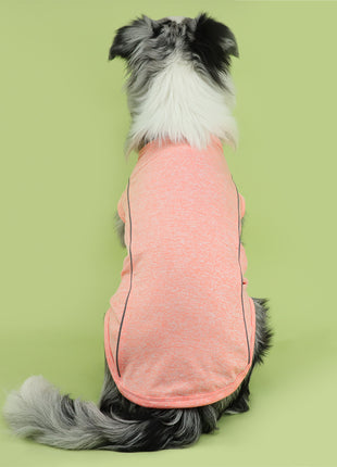 Reflective Stripe Pet Clothing