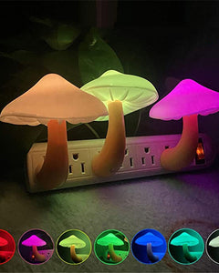 Collection image for: 照明器具