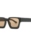 C3 - Montura negra lentes color champaña