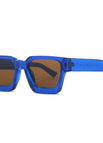C15 - Montura azul transparente lentes de té
