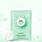Aqua Moisturizing Mask