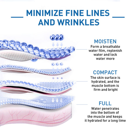 Diagram of skin layers with water film and text on minimizing fine lines and wrinkles.