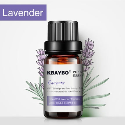 KBAYBO lavender essential oil bottle with lavender flowers on a white background