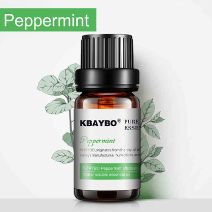 KBAYBO peppermint essential oil bottle with leaves on a white background