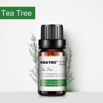 KBaybo Tea Tree essential oil bottle on a white background