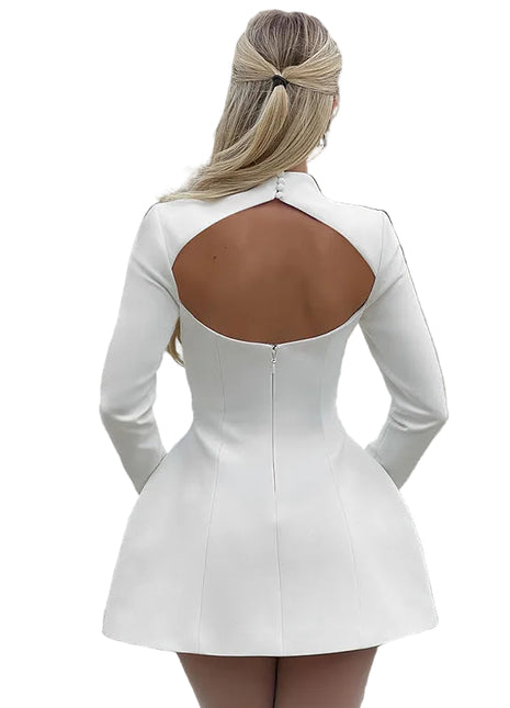 Long sleeve slim fit dress for women featuring round neckline and stylish cinched waist design.