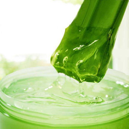 Close-up of aloe vera gel being applied to a jar with aloe vera leaf