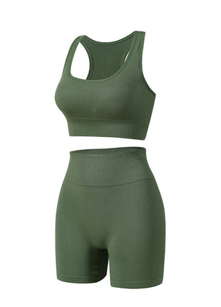 Nylon Sports Bra and Shorts Workout Set