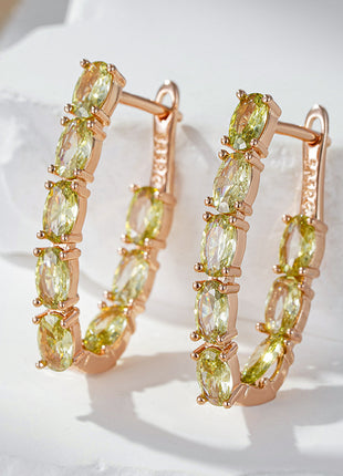 Double Layer Oval Zircon Luxury Earrings