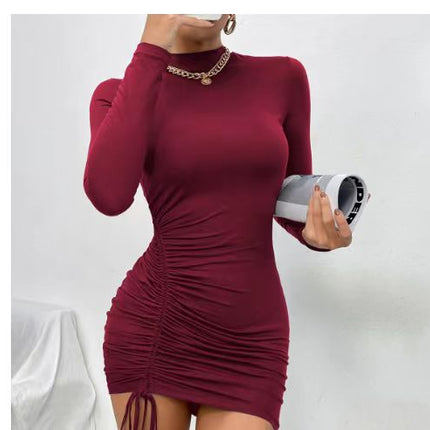 Turtleneck Long Sleeve Pleated Tie Dress