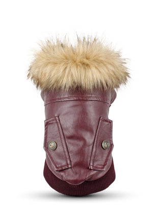 Autumn And Winter Clothes Dog Fur Collar Leather Coat