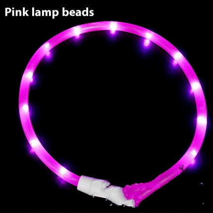 Glowing LED Collar USB Charging