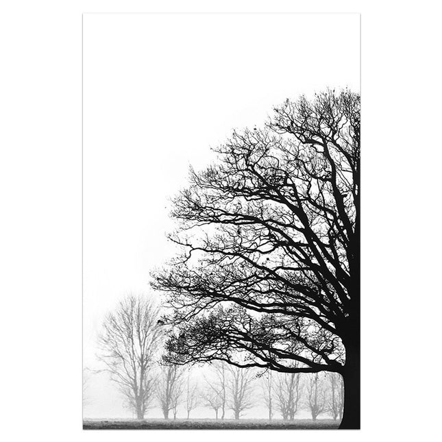Black And White Trees - 70x100 cm