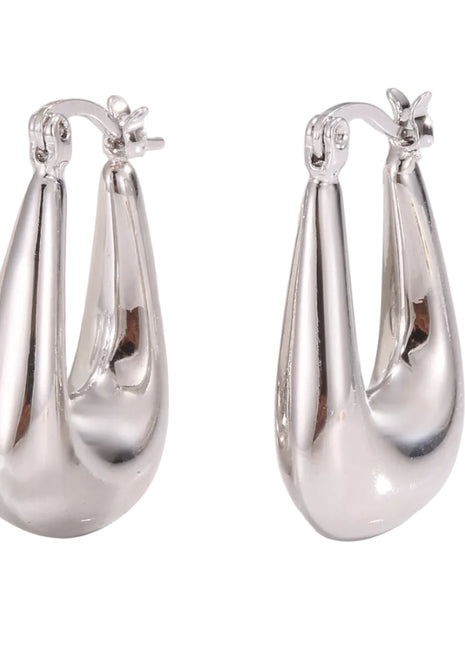 Niche Cold Scenery Surface U-shaped Earrings