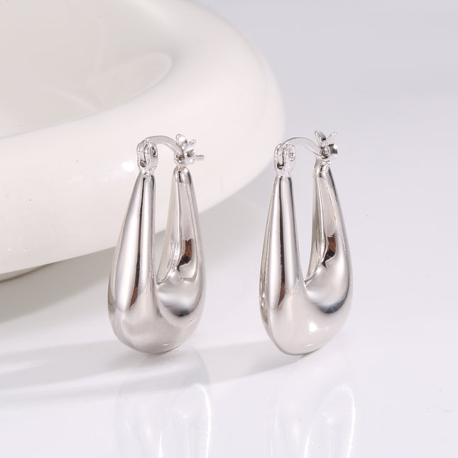 Niche Cold Scenery Surface U-shaped Earrings