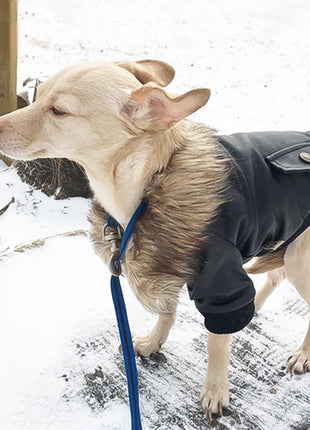 Autumn And Winter Clothes Dog Fur Collar Leather Coat