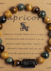 Capricorn