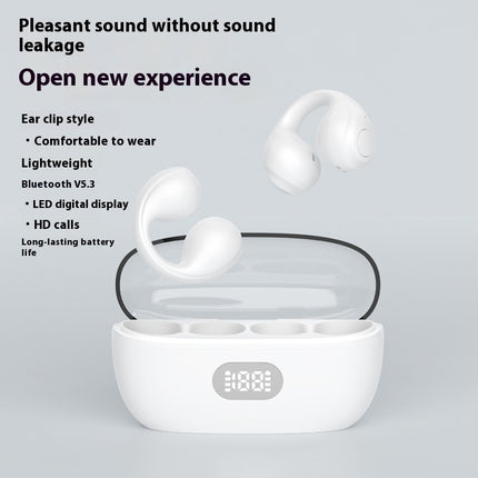 Large Power Clip-On Wireless Sports Earphones