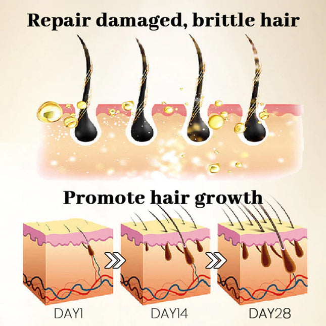 OUHOE Ginseng Scalp Hair Care