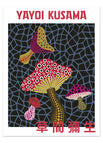 D / 60×80 سم
