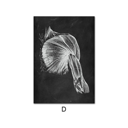 Human Anatomy 60 X 90 cm