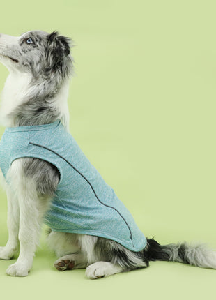 Reflective Stripe Pet Clothing