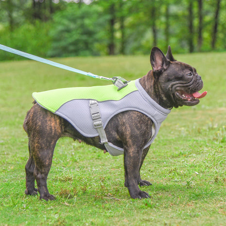 Summer Cooling Vest Heat Resistant Breathable Sun-proof Clothing